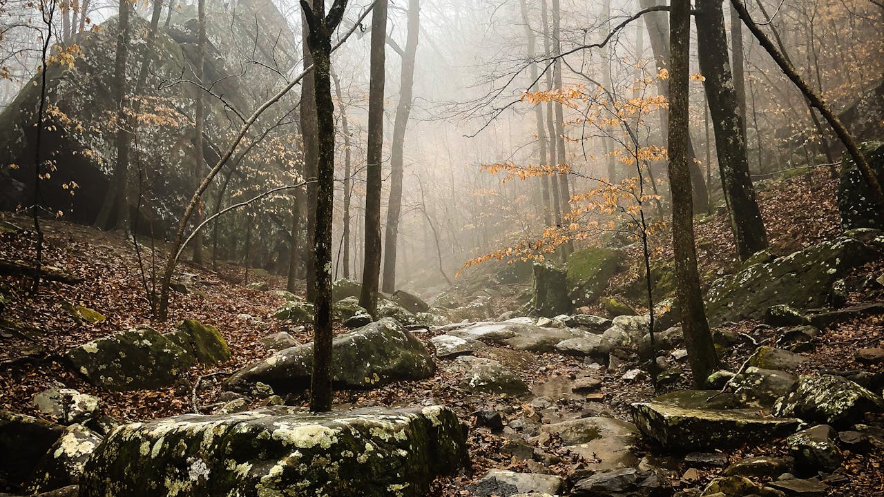 Arkansas cityscape